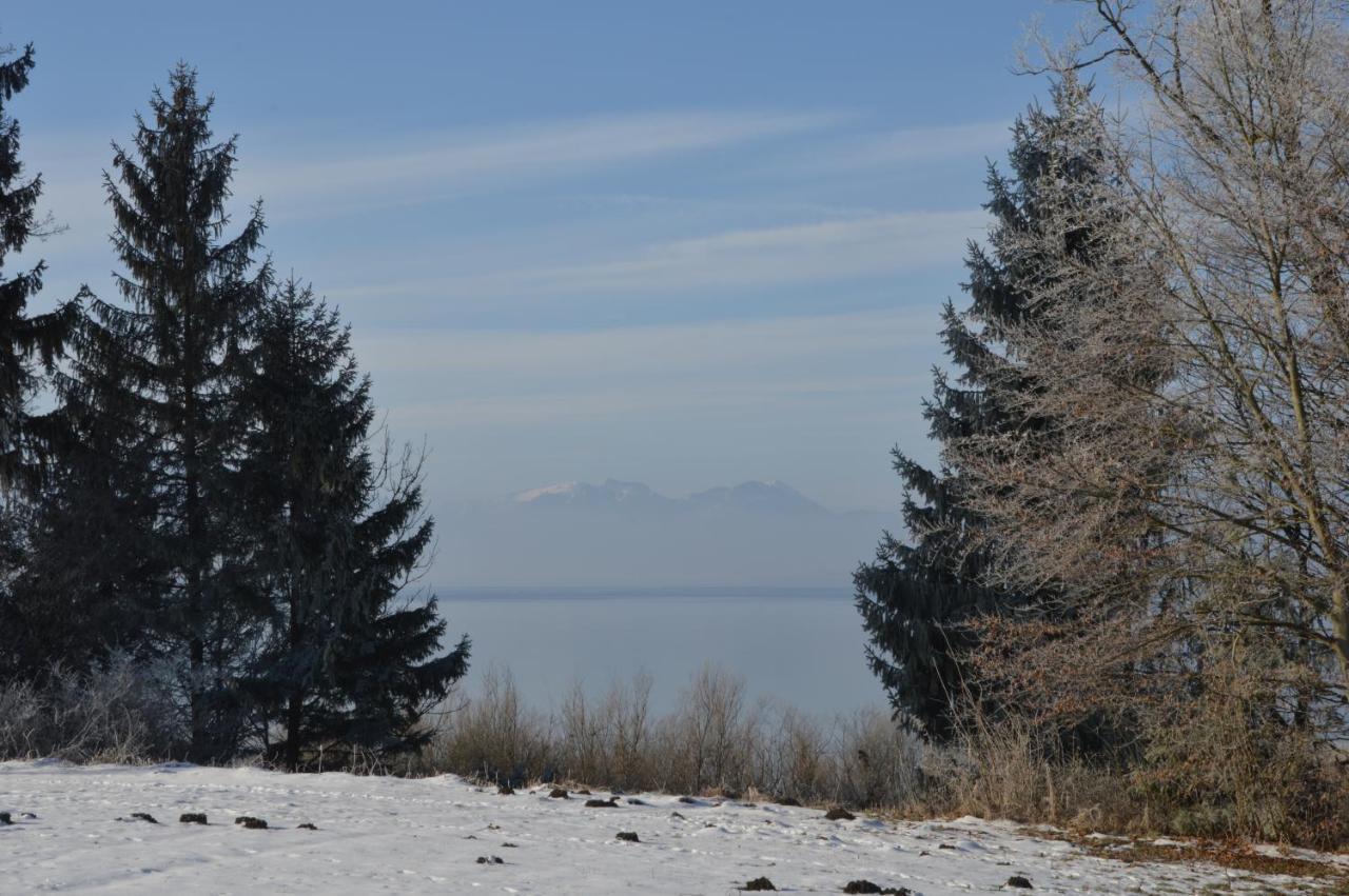 Chiemseestrand Nr. 16 * Химинг